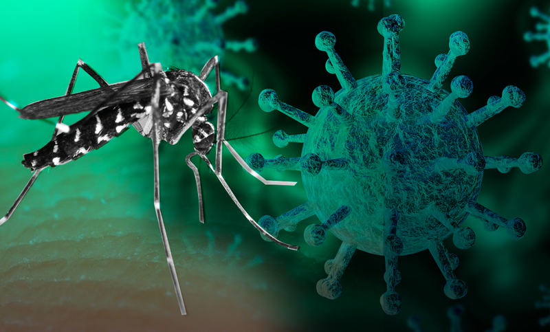 Mediante un modelo matemático buscan detectar casos simultáneos de dengue y Covid