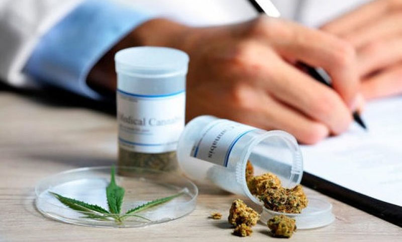 El Gobierno presenta proyecto de marco regulatorio para industria del cannabis
