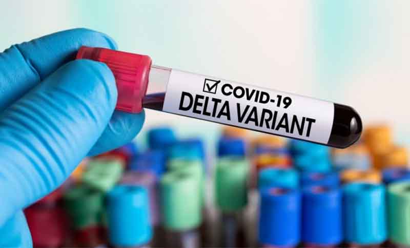Coronavirus: el avance de la variante Delta preocupa a la OMS