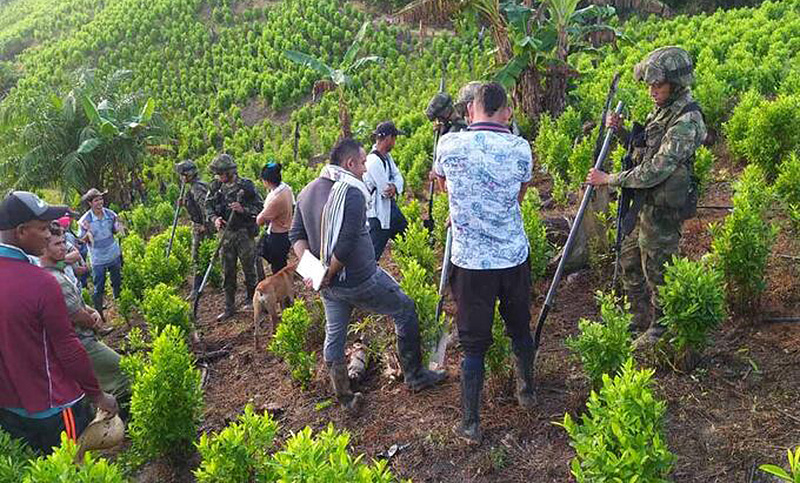Cocaleros retienen a unos 180 militares colombianos por erradicación de cultivos
