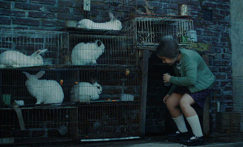 Se estrena “La casa de los conejos”, una película que narra a la dictadura desde la infancia