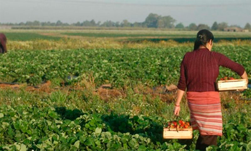Agricultoras latinoamericanas contaron sus historias de esfuerzo y lucha