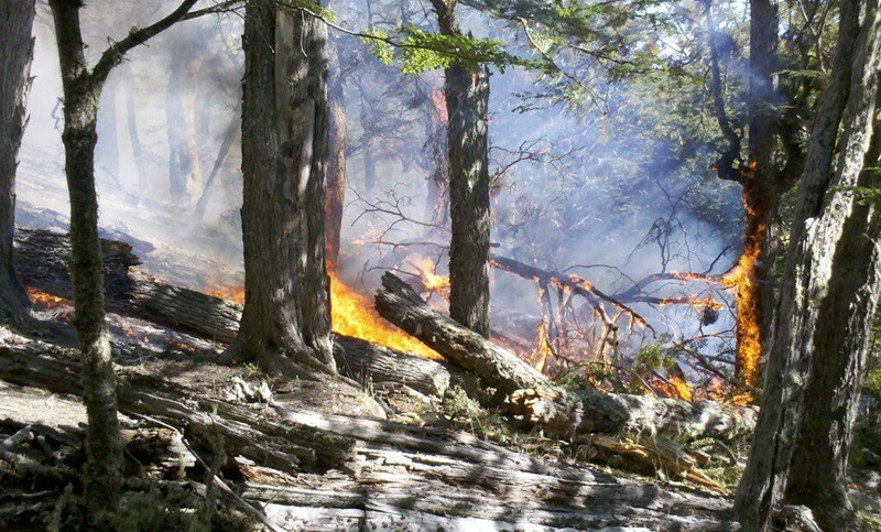 Tierra del Fuego en «alerta» por los focos de incendios forestales