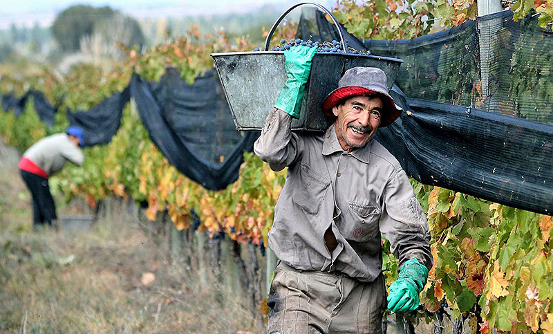 Los peones rurales cobrarán un bono de fin de año de 20 mil pesos en dos tramos