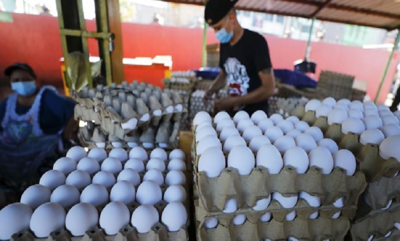 Israel: escasez de huevos por gripe aviar en gallineros