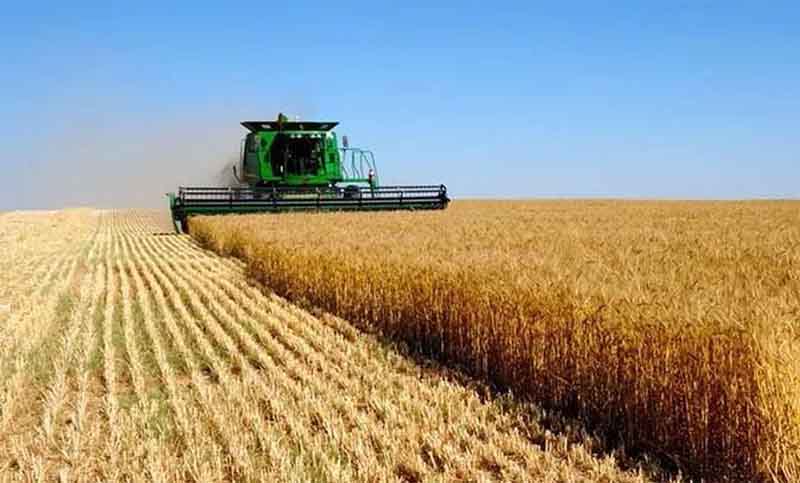 Culminó el ciclo de cultivo de trigo en Santa Fe con el mejor rendimiento en diez años