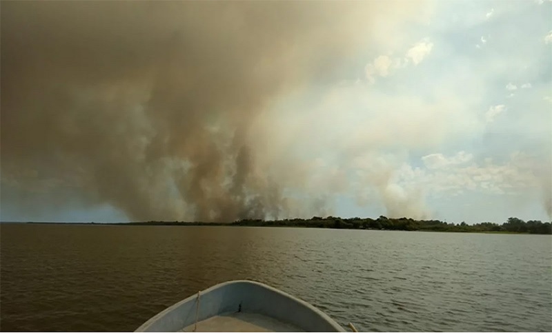 Esteros del Iberá: un incendió dañó 600 hectáreas y apuntan a una quema de basura