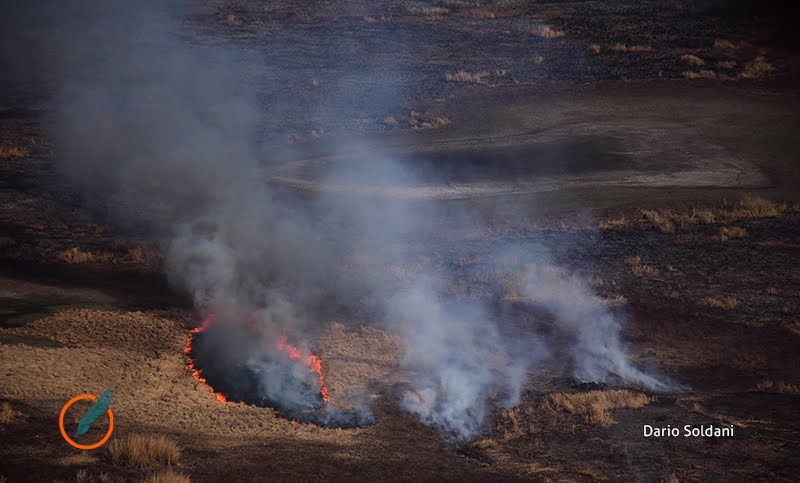 Santa Fe informó que 102 hectáreas fueron afectadas por incendios forestales en 2021