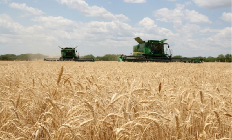 Las exportaciones de trigo tuvieron el mejor diciembre de la historia con 2,27 millones de toneladas
