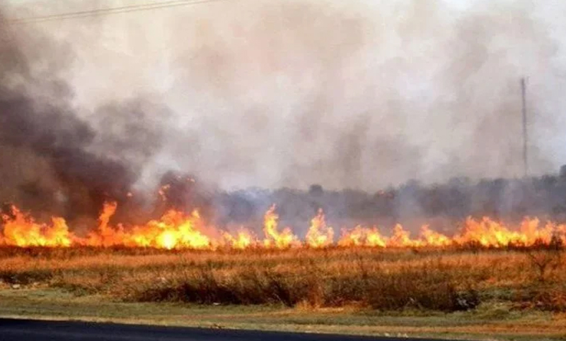 Un portal de acceso a los Esteros del Iberá se incendia desde hace cinco días