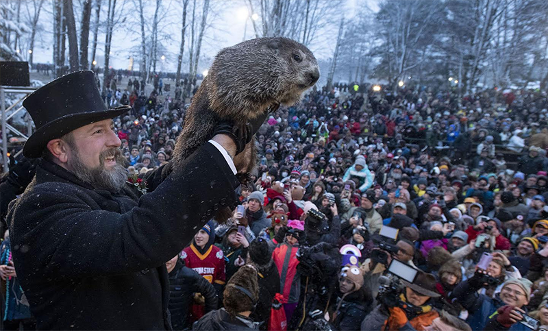 Día de la Marmota: Phil pronosticó seis semanas más de invierno