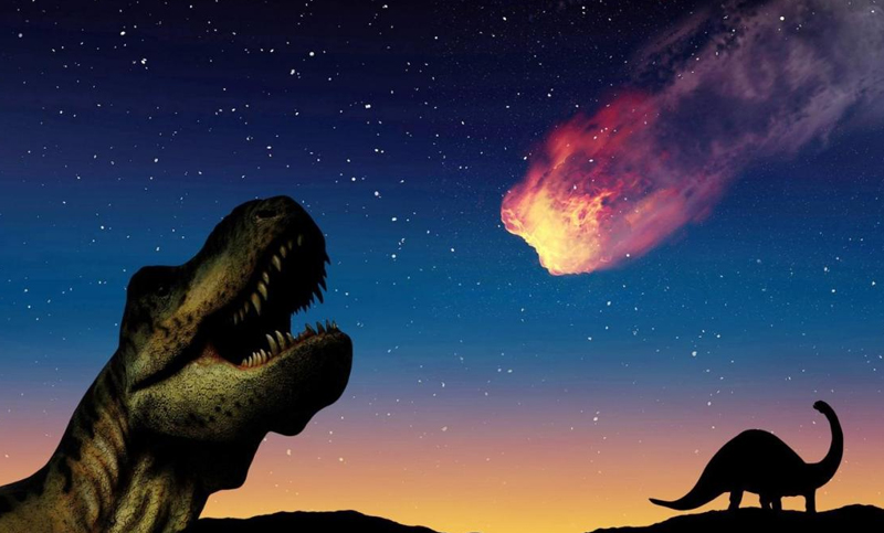 Afirman que los dinosaurios se extinguieron por catástrofes climáticas