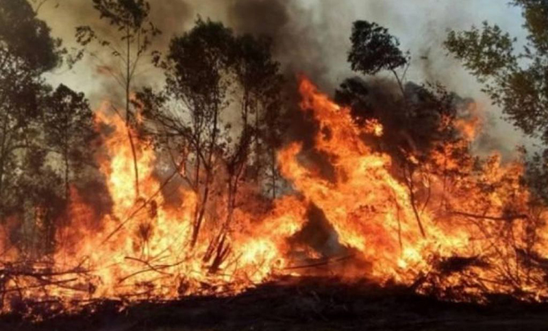 Corrientes: más de medio millón de hectáreas ya fueron afectadas por el fuego