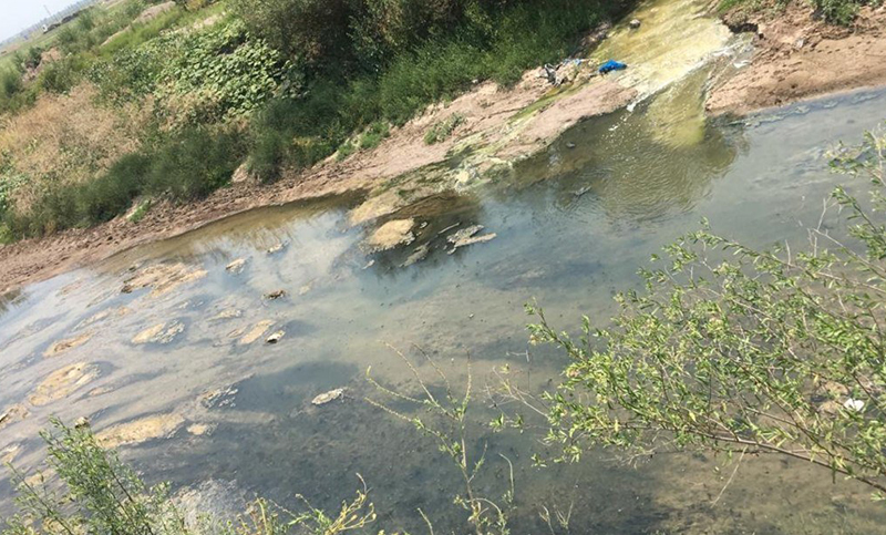 Comenzaron a limpiar el arroyo Ludueña, tras años de reclamos de vecinos
