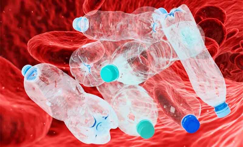 Investigadores hallan por primera vez microplásticos en la sangre humana
