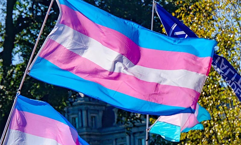 31 de marzo: Día Internacional de la Visibilidad Transgénero
