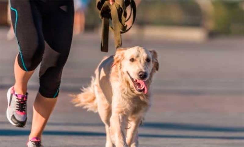 Cientos de personas participaron de una maratón con mascotas en Mendoza