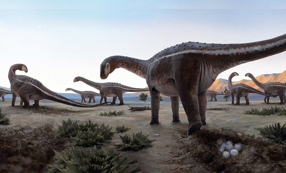 Investigadores del Conicet descubrieron el primer lugar donde anidaban los titanosaurios en Brasil