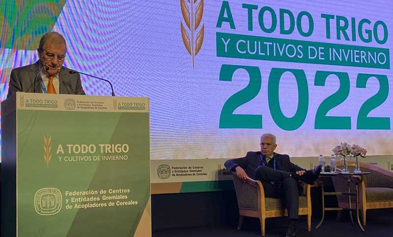 Agricultura aprobó la siembra en el país de trigo transgénico HB4 tolerante a la sequía