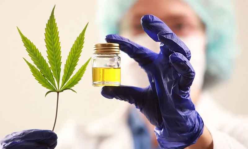El Gobierno celebró la aprobación de la ley de cannabis medicinal: «Nace una nueva industria»