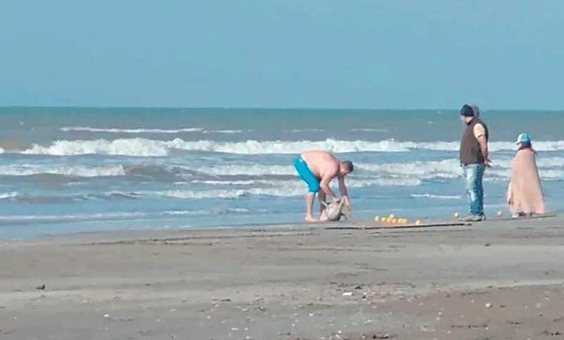 Denuncian al hombre que capturó a un delfín en una playa de Mar del Tuyú