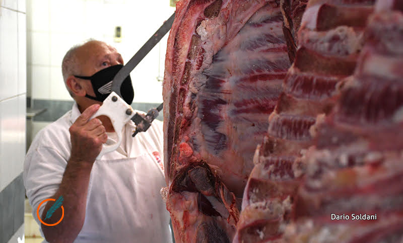 Frigoríficos exportadores advierten importante baja de precios internacionales de la carne