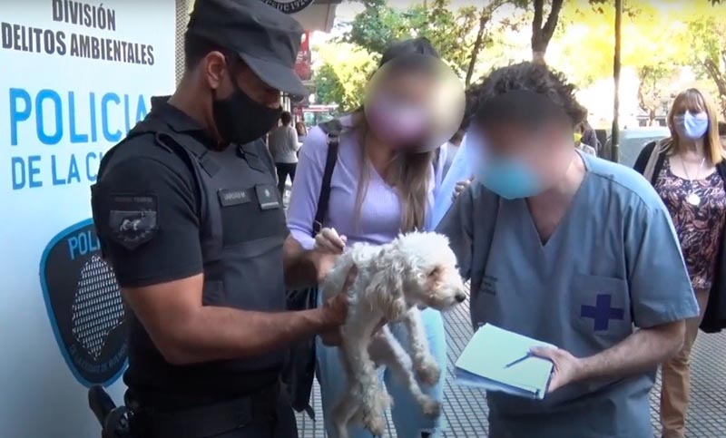 Clausuran un criadero ilegal de perros que se encontraba en pésimas condiciones sanitarias