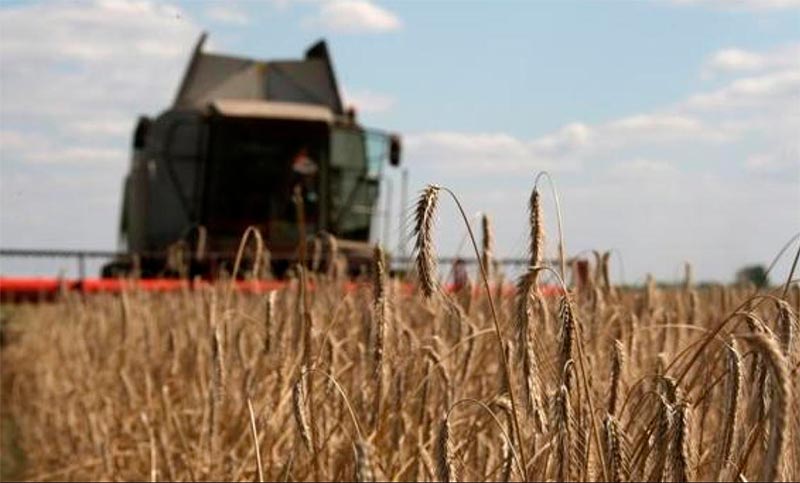 Mediados por la ONU, Rusia y Ucrania negociarán la exportación de granos