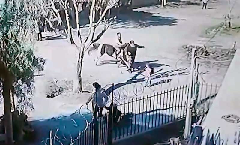 Video impactante: niño de 12 años atropelló con un caballo a dos mujeres, una está en coma
