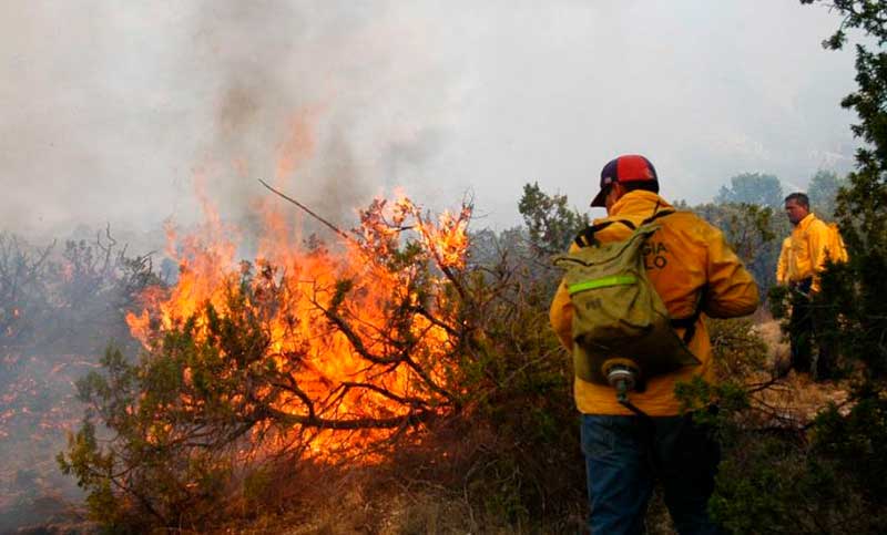 Entre Ríos y Santiago del Estero registran focos activos de incendios forestales