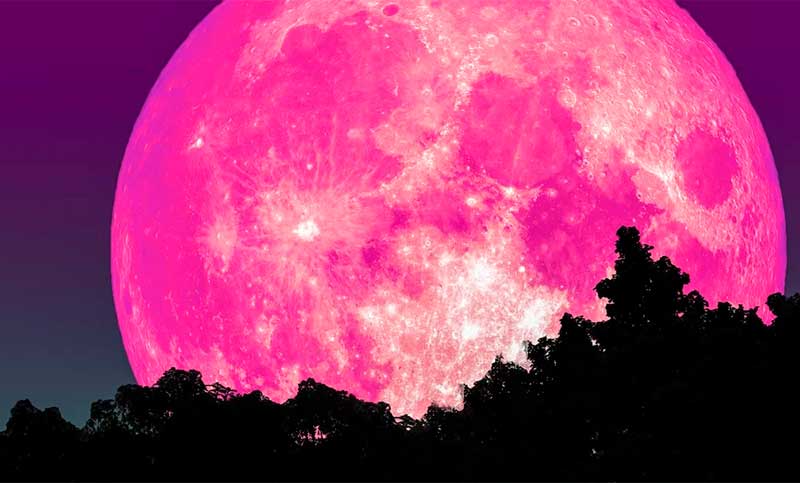 Super Luna de fresa: a qué hora se podrá ver el fenómeno en la Argentina
