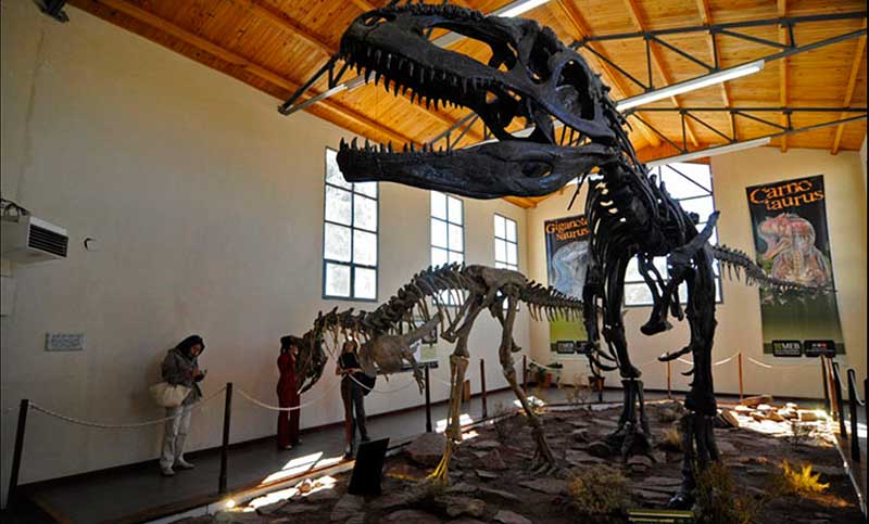 Neuquén alberga uno de los yacimientos paleontológicos más ricos del mundo