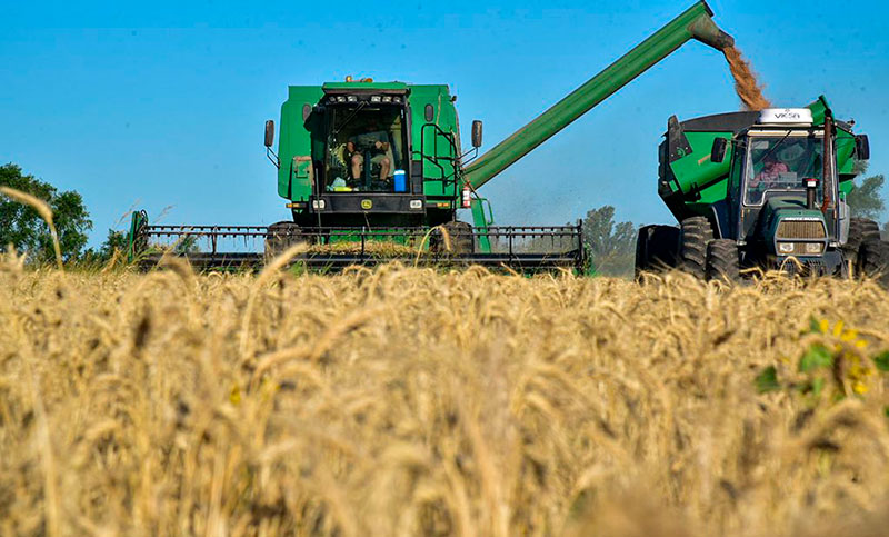 Santa Fe: concluyó la siembra de trigo, con una superficie menor de la esperada