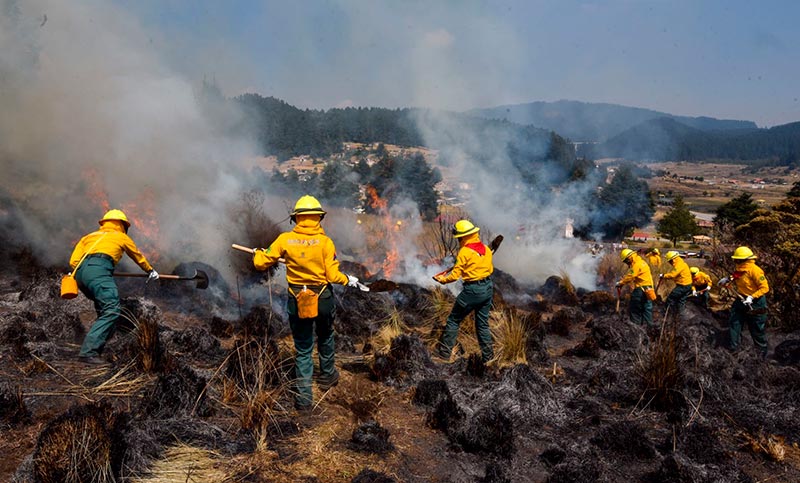 Los bomberos comienzan a contener el incendio forestal en California