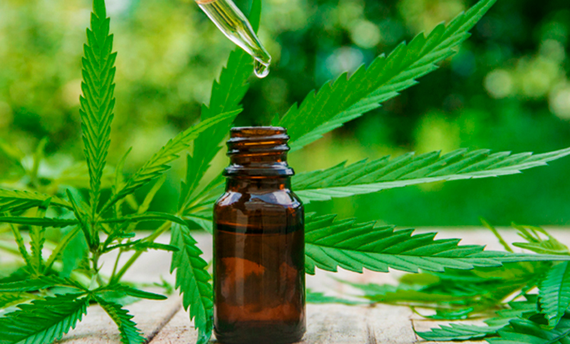 La Corte Suprema avaló el control estatal en la producción de medicamentos derivados del cannabis