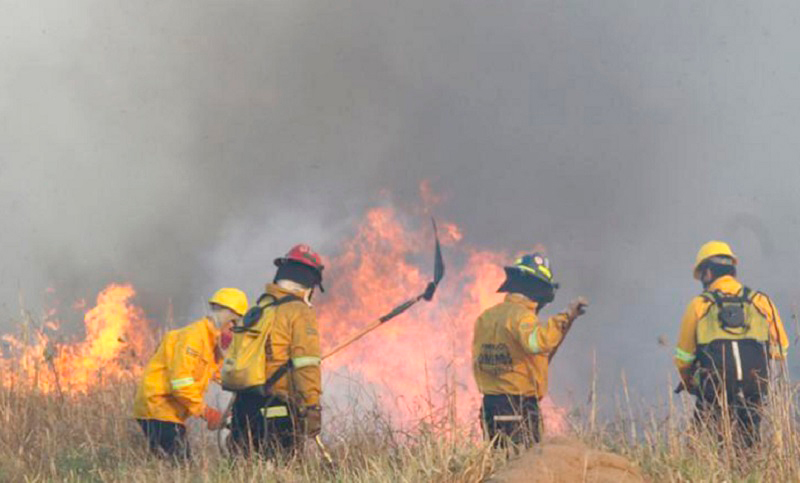 Cinco provincias registran focos activos de incendio en el país, Santa Fe entre ellas