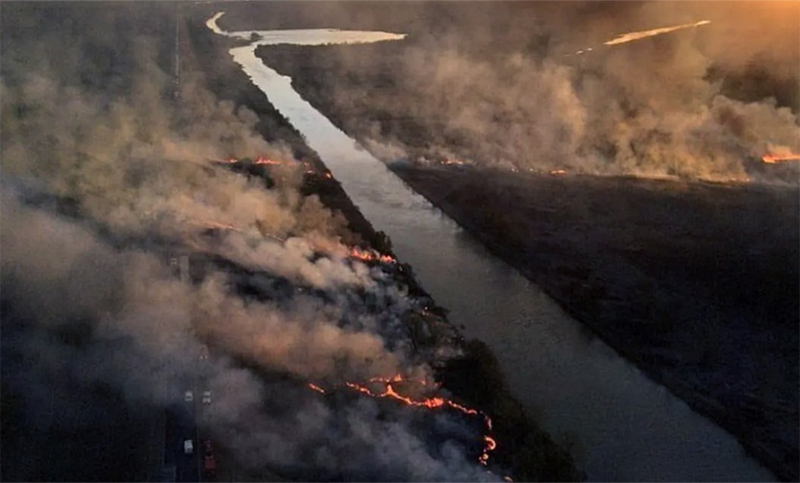 Detuvieron a tres personas por provocar incendios en el Delta