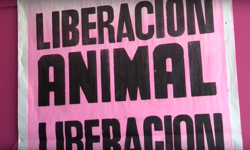 La Brújula: Animalismo, utilitarismo edulcorado