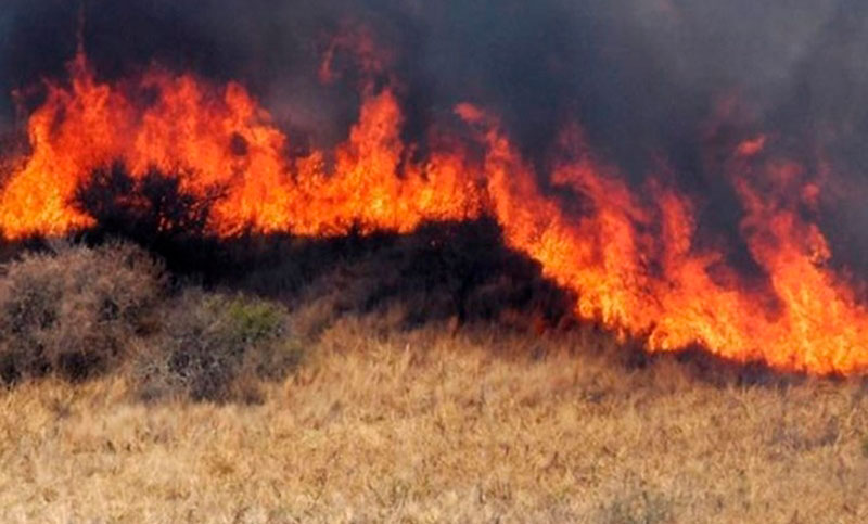 Nueve incendios permanecen activos en Santa Fe, Entre Ríos y Buenos Aires