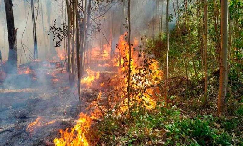 Ocho provincias registran incendios activos en el país