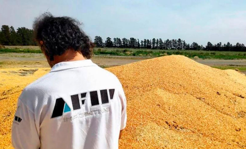 Afip detectó «irregularidades» en Córdoba por 1700 toneladas de granos