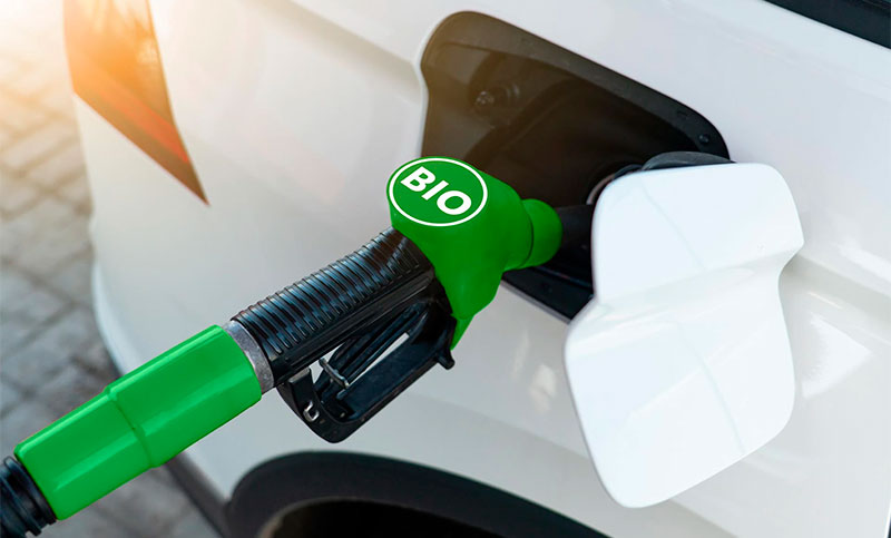 El bioetanol aumentará casi un 22%: la suba podría impactar en los surtidores