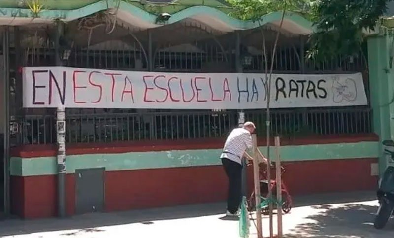 Ciudad de Buenos Aires: denuncian presencias de ratas en una escuela 