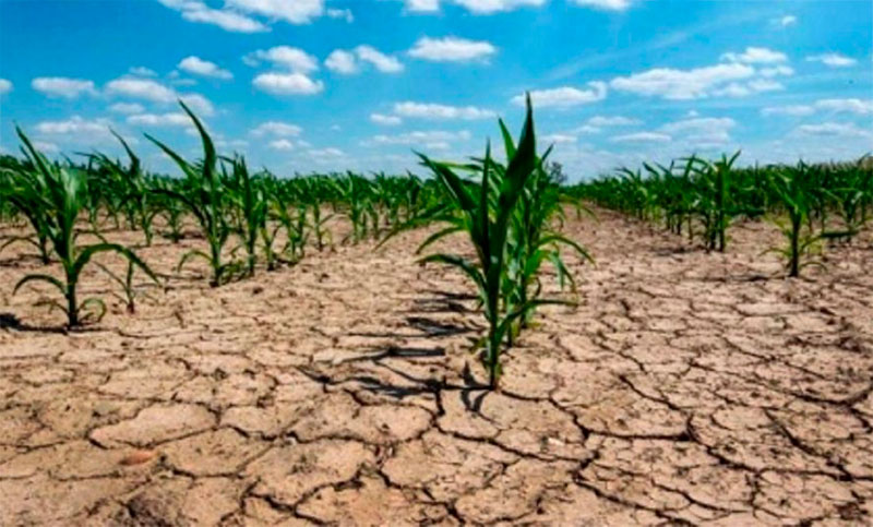 Las altas temperaturas y las escasas lluvias complicarían aún más a la actividad agropecuaria