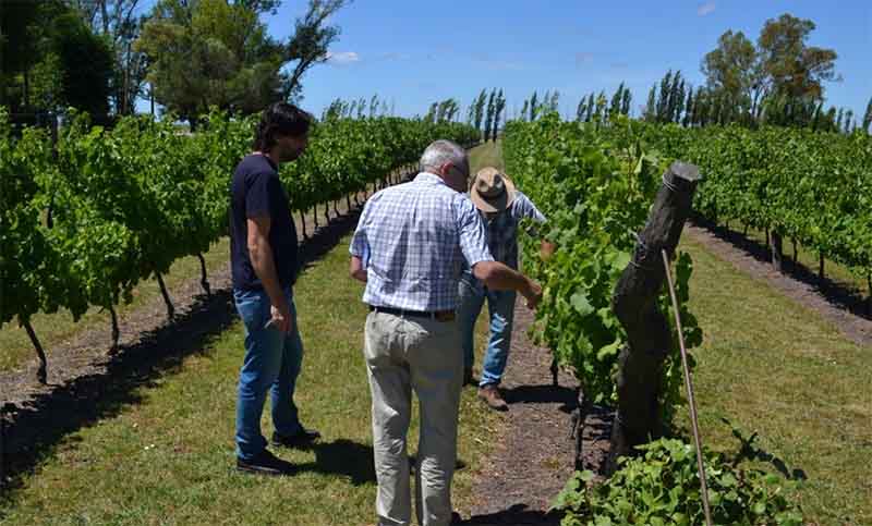 Más de 30 marcas de vinos se degustarán en la segunda feria provincial en Gualeguaychú