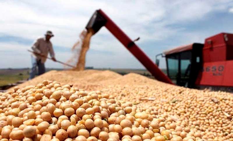 El Gobierno creó un programa de compensación para pequeños y medianos productores de soja y maíz