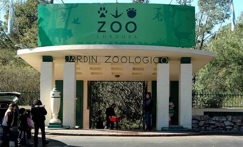 Nuevo reclamo para que animales del ex zoo de Córdoba sean declarados sujetos de derecho