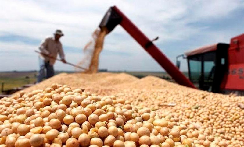 Productores vendieron 3,5 millones de toneladas de soja en once jornadas e ingresaron más de 1.535 millones de dólares