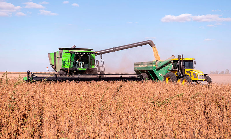 La sequía redujo 50% la cosecha de trigo y peligra la siembra de soja