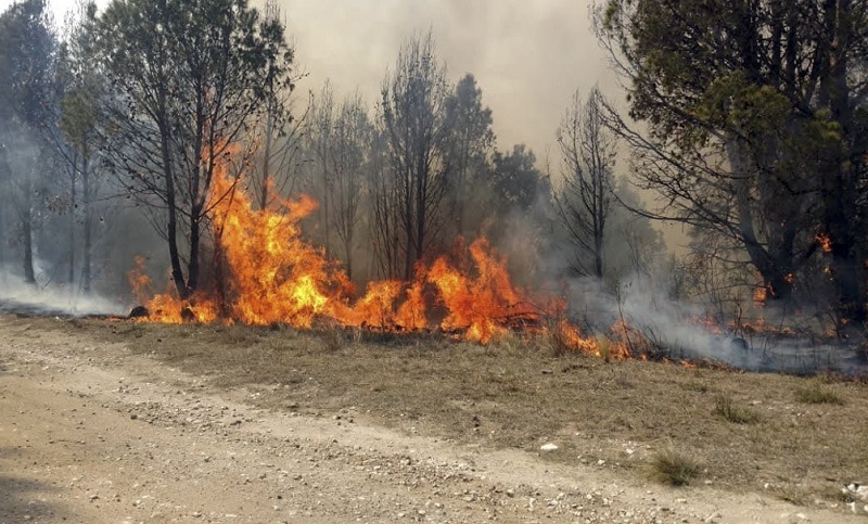 Siete provincias registran incendios activos en el país